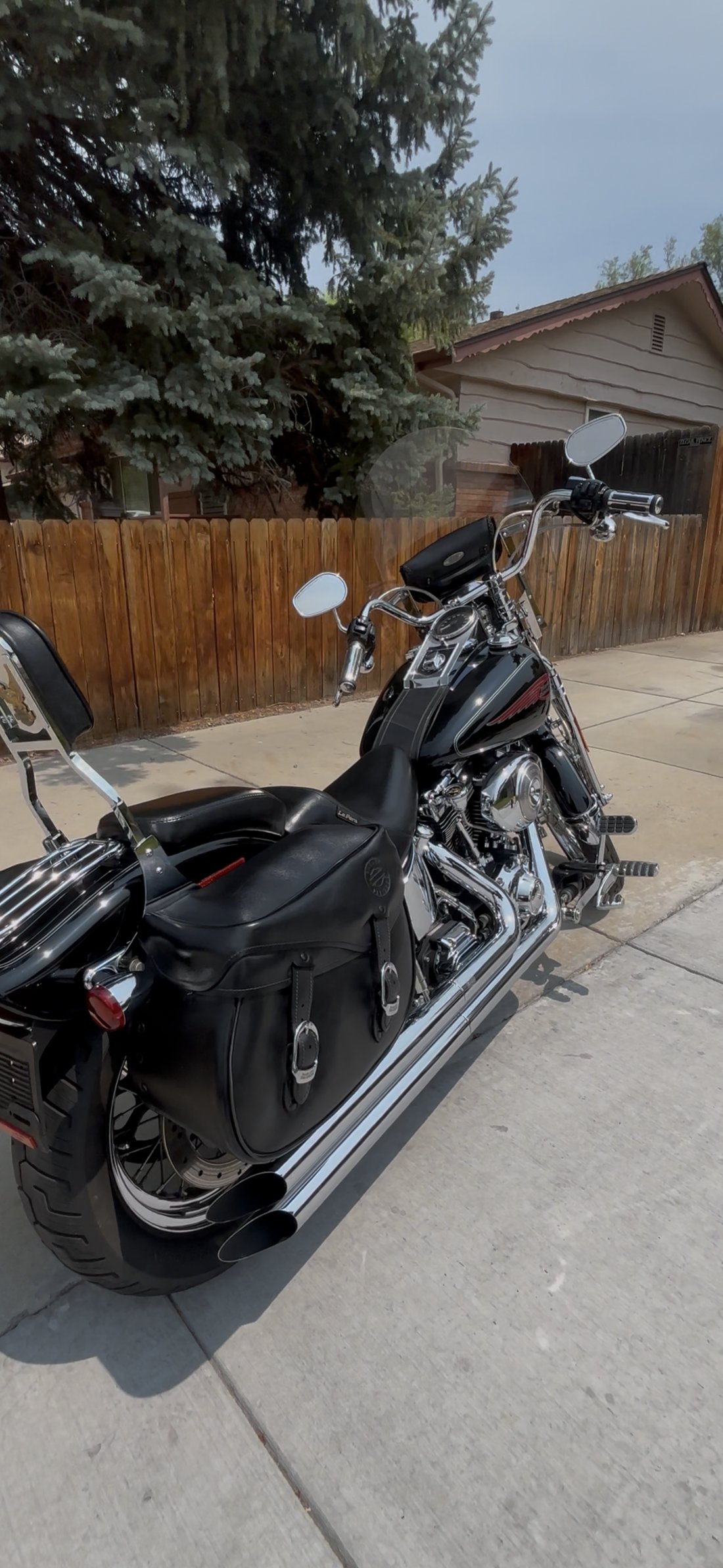 Black Harley Springer rear three-quarter view