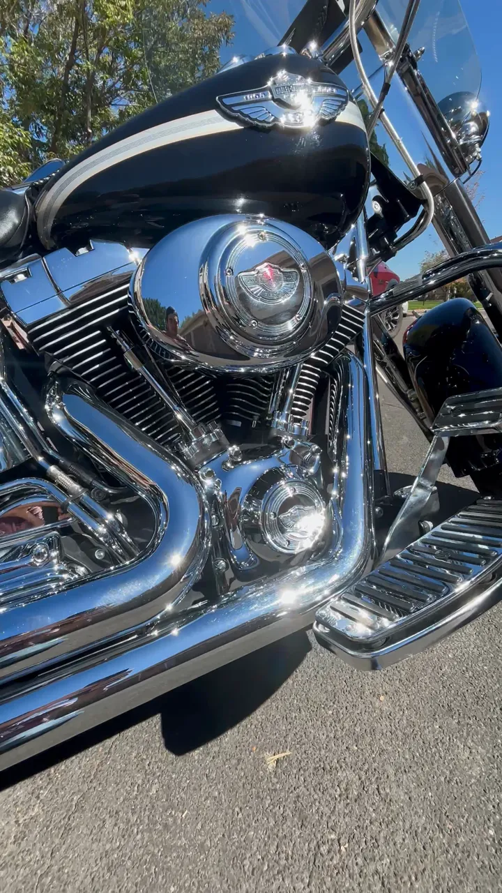 Harley-Davidson front wheel and fork after full detail and chrome polish