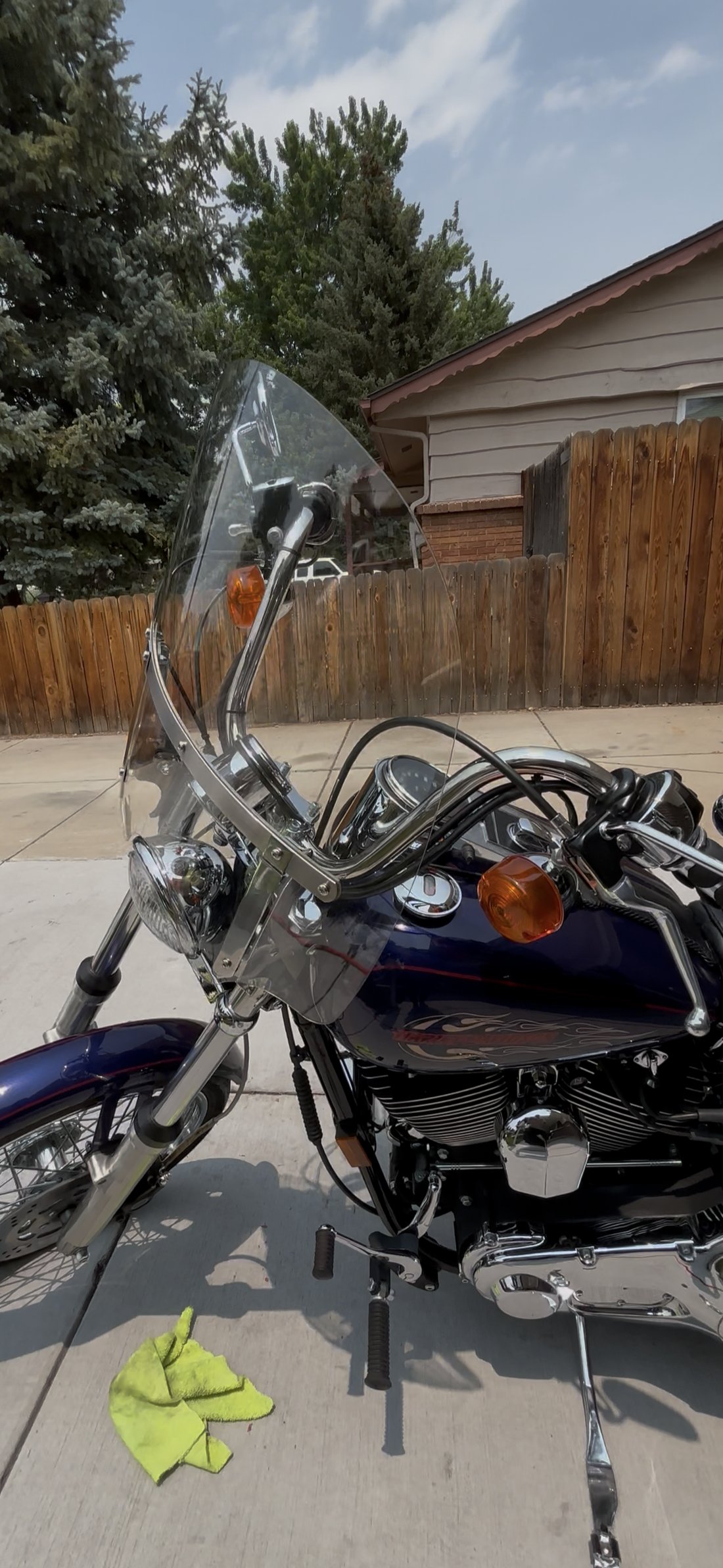 Harley front end and tank close-up
