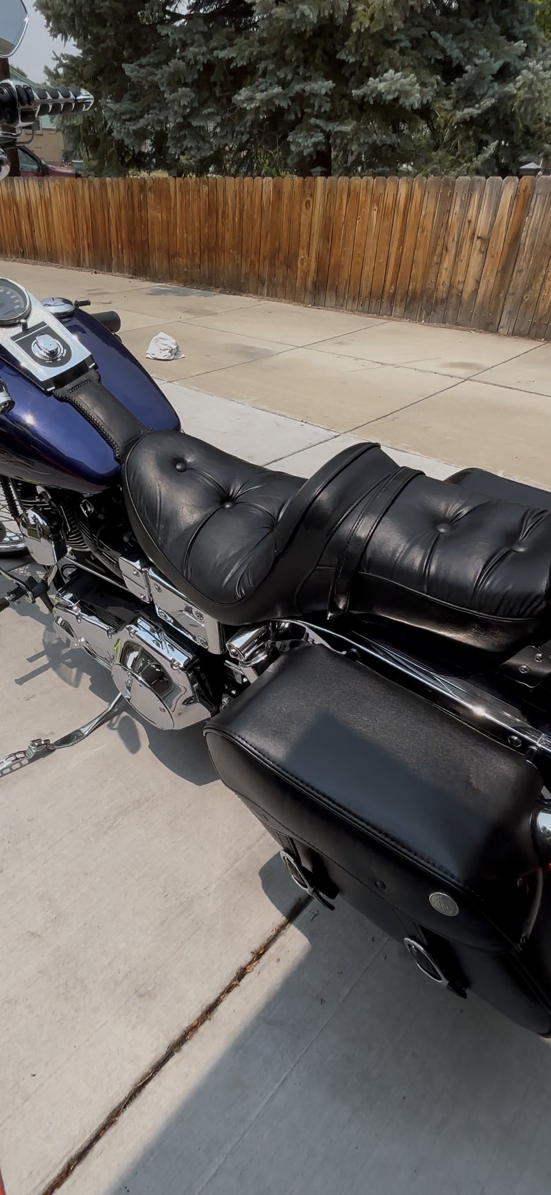 Harley seat and saddlebag close-up